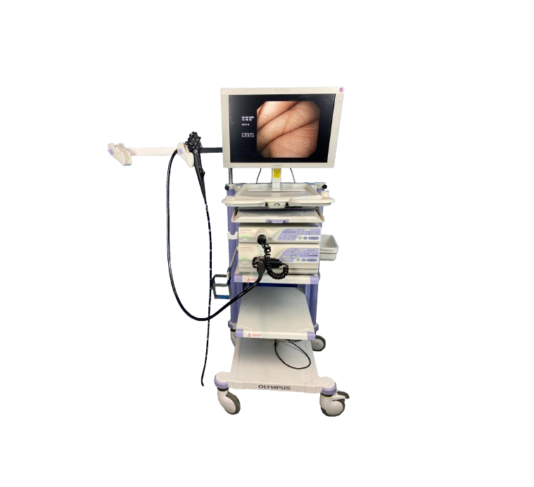Endoscopy Apparatus